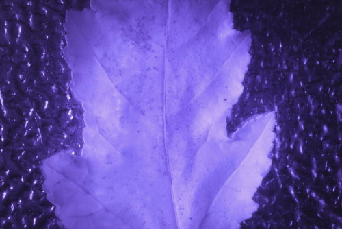 uv pass filter photography